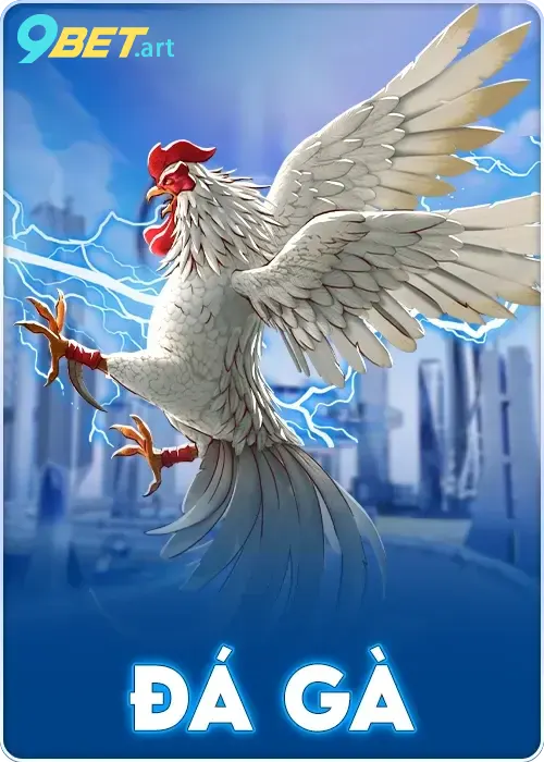 Cá cược đá gà