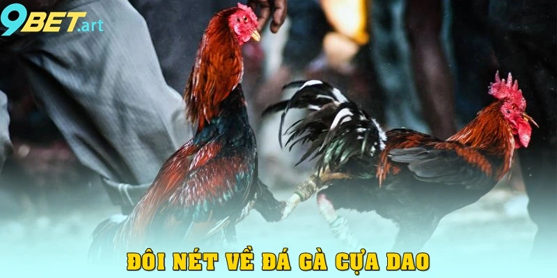 Đôi nét về đá gà cựa dao